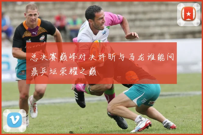 总决赛巅峰对决许昕与马龙谁能问鼎乒坛荣耀之巅