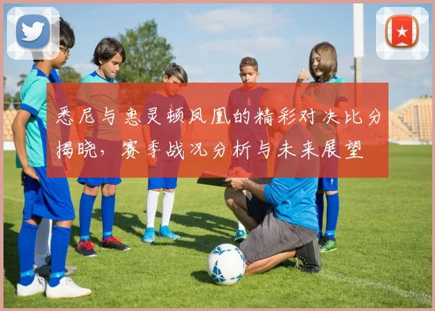 悉尼与惠灵顿凤凰的精彩对决比分揭晓，赛季战况分析与未来展望