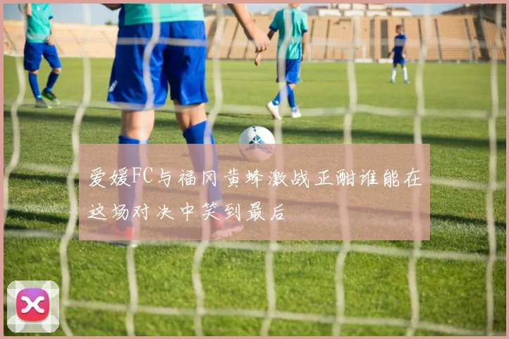 爱媛FC与福冈黄蜂激战正酣谁能在这场对决中笑到最后