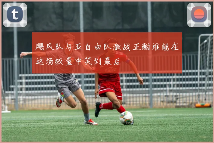 飓风队与亚自由队激战正酣谁能在这场较量中笑到最后