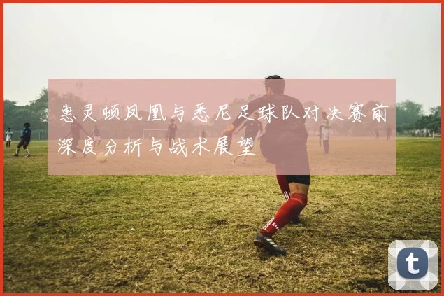 惠灵顿凤凰与悉尼足球队对决赛前深度分析与战术展望