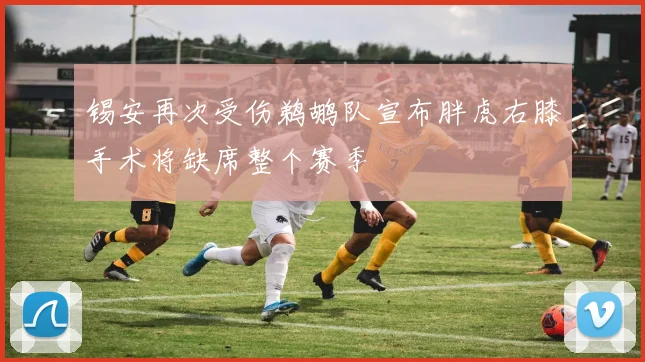 锡安再次受伤鹈鹕队宣布胖虎右膝手术将缺席整个赛季