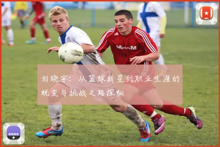 刘晓宇：从篮球新星到职业生涯的蜕变与挑战之路探秘