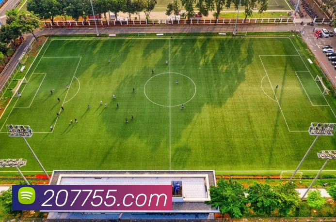 博鱼体育品牌故事