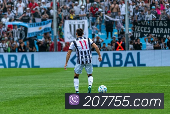 博鱼体育服务体系